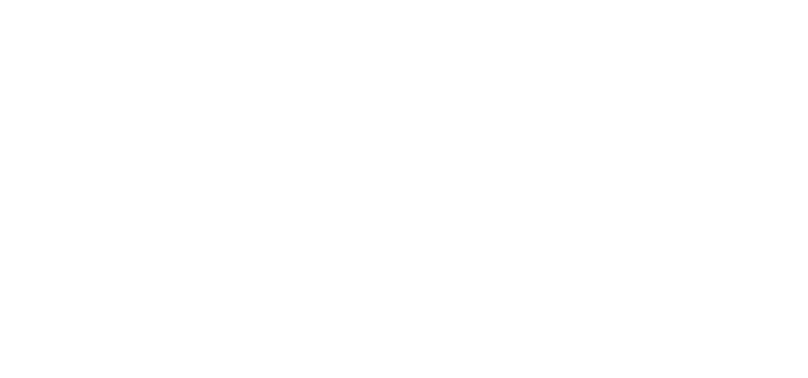 Disrupt Business Solutions